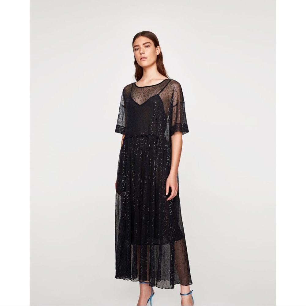 Zara Sequined Tulle Dress